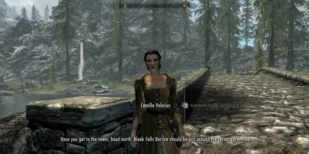 Elder Scrolls V: Skyrim